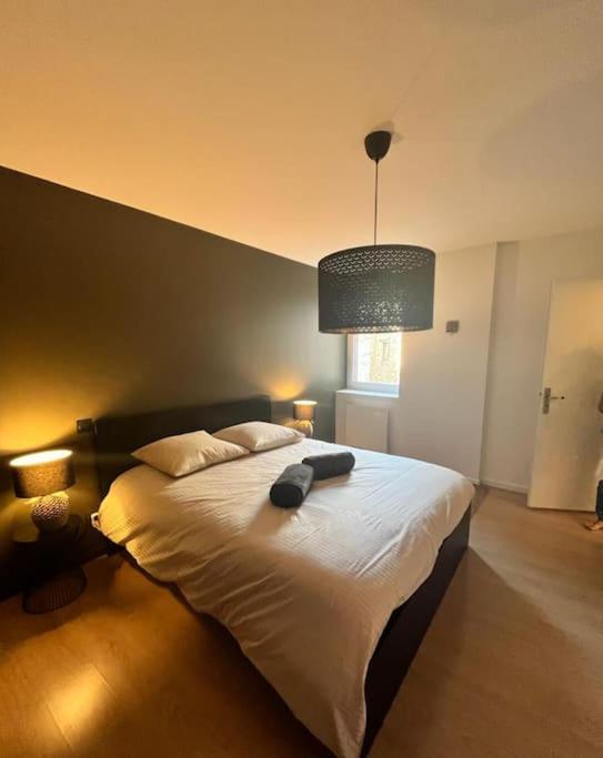 Vigne Et Mer-Spacieux Appartement Haussmannien-2Chambres-Wifi Béziers Eksteriør billede