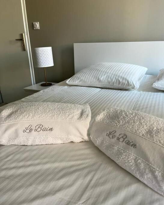 Vigne Et Mer-Spacieux Appartement Haussmannien-2Chambres-Wifi Béziers Eksteriør billede